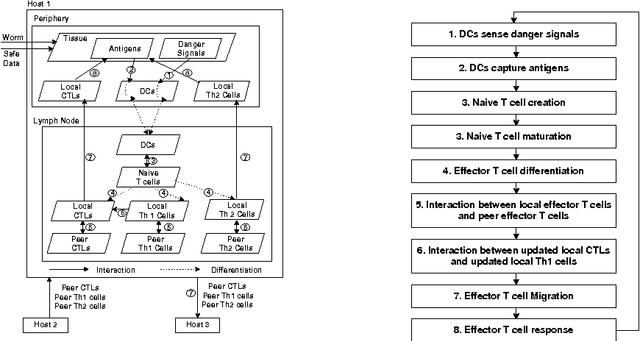Figure 3 for Cooperative Automated Worm Response and Detection Immune Algorithm