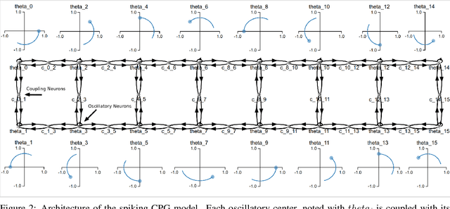 Figure 2 for A Spiking Central Pattern Generator for the control of a simulated lamprey robot running on SpiNNaker and Loihi neuromorphic boards