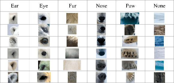 Figure 3 for Understanding Convolutional Networks with APPLE : Automatic Patch Pattern Labeling for Explanation