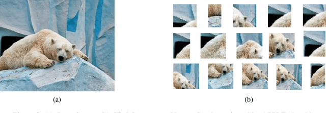 Figure 4 for Understanding Convolutional Networks with APPLE : Automatic Patch Pattern Labeling for Explanation