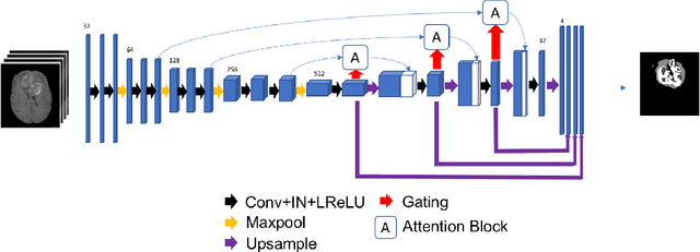Figure 3 for Automatic Brain Tumour Segmentation and Biophysics-Guided Survival Prediction