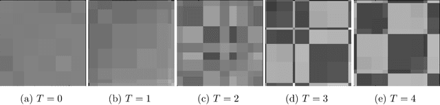 Figure 2 for An iterative step-function estimator for graphons