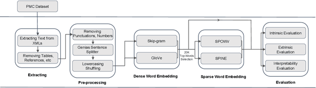 Figure 1 for Evaluating Sparse Interpretable Word Embeddings for Biomedical Domain