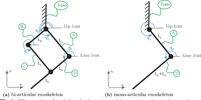 Figure 1 for Simulation-based multi-criteria comparison of mono-articular and bi-articular exoskeletons during walking with and without load