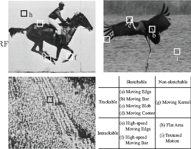 Figure 1 for Video Primal Sketch: A Unified Middle-Level Representation for Video