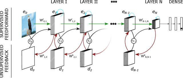Figure 1 for Predify: Augmenting deep neural networks with brain-inspired predictive coding dynamics