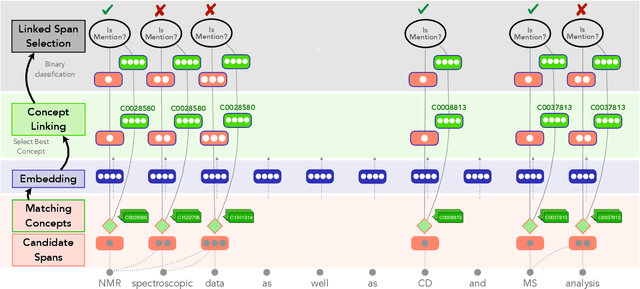 Figure 1 for Low Resource Recognition and Linking of Biomedical Concepts from a Large Ontology