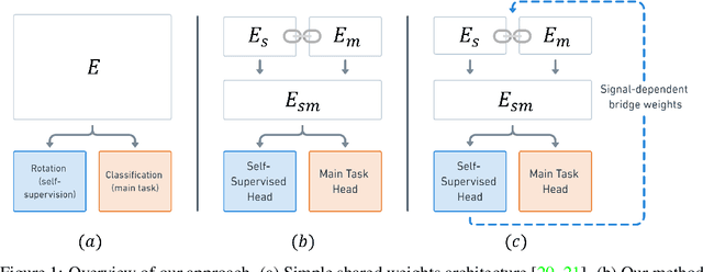 Figure 1 for Self-Supervised Dynamic Networks for Covariate Shift Robustness