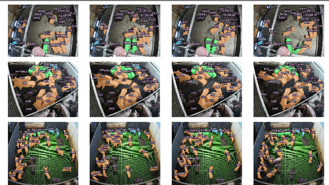 Figure 1 for Livestock Monitoring with Transformer