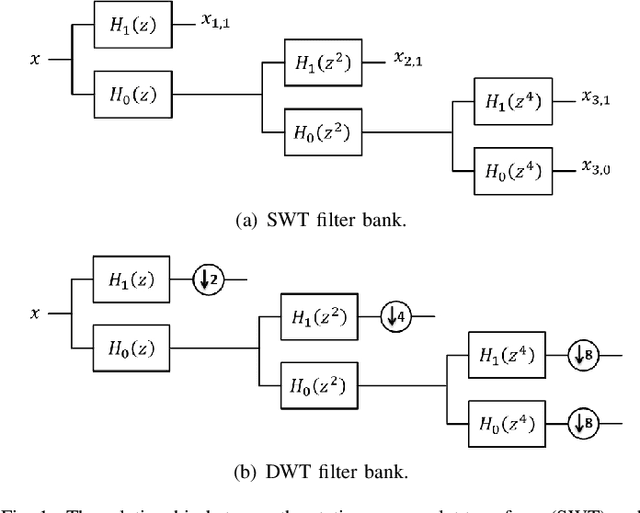 Figure 1 for Multiscale Wavelet Transfer Entropy with Application to Corticomuscular Coupling Analysis