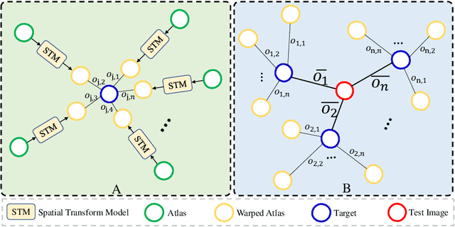 Figure 3 for OASIS: One-pass aligned Atlas Set for Image Segmentation