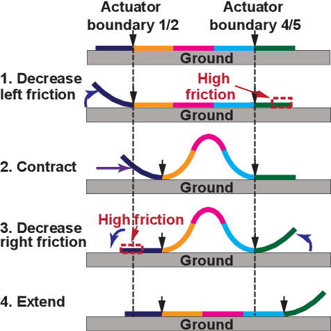 Figure 1 for Model-Based Control of Planar Piezoelectric Inchworm Soft Robot for Crawling in Constrained Environments