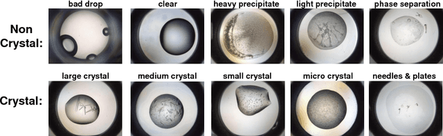 Figure 1 for Classification of Protein Crystallization X-Ray Images Using Major Convolutional Neural Network Architectures