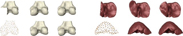 Figure 4 for Landmark-free Statistical Shape Modeling via Neural Flow Deformations