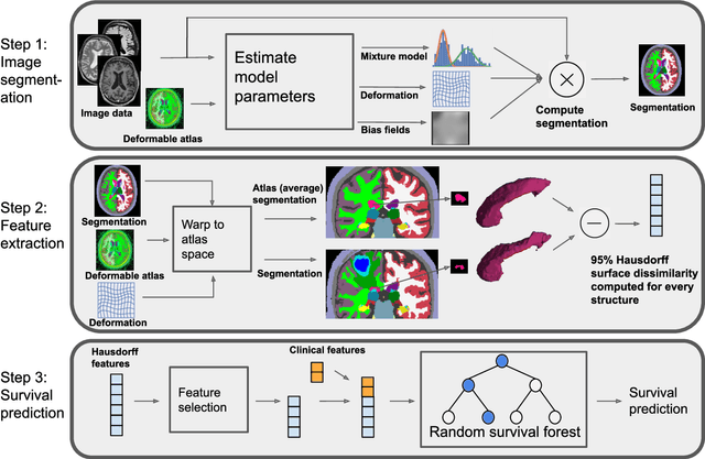 Figure 1 for Predicting survival of glioblastoma from automatic whole-brain and tumor segmentation of MR images
