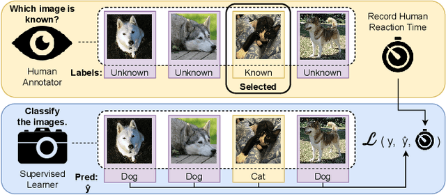 Figure 1 for Measuring Human Perception to Improve Open Set Recognition