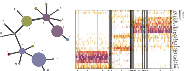 Figure 4 for Robust Lineage Reconstruction from High-Dimensional Single-Cell Data