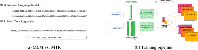 Figure 1 for ChemBERTa-2: Towards Chemical Foundation Models