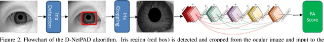 Figure 3 for D-NetPAD: An Explainable and Interpretable Iris Presentation Attack Detector