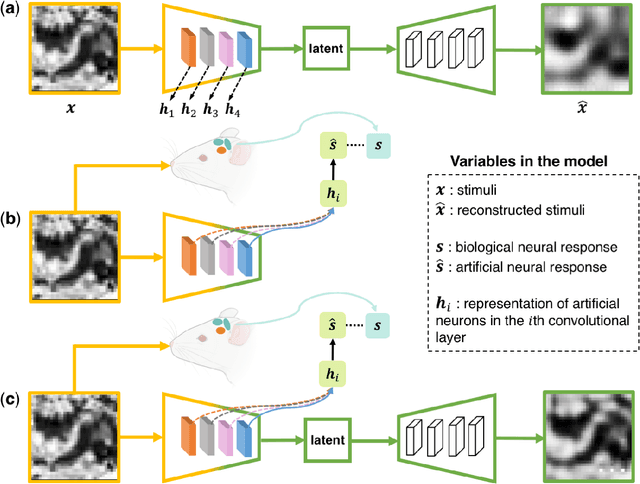 Figure 1 for Deep Auto-encoder with Neural Response