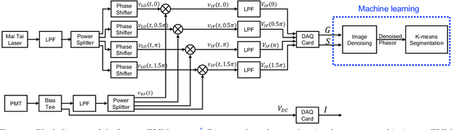 Figure 1 for Convolutional Neural Network Denoising in Fluorescence Lifetime Imaging Microscopy (FLIM)