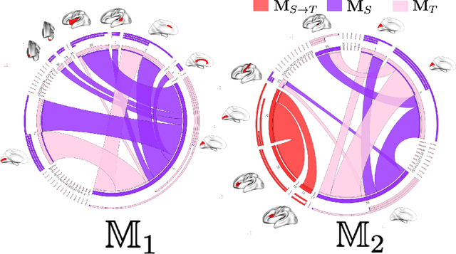 Figure 2 for Adversarial Brain Multiplex Prediction From a Single Network for High-Order Connectional Gender-Specific Brain Mapping