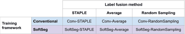 Figure 1 for Label fusion and training methods for reliable representation of inter-rater uncertainty