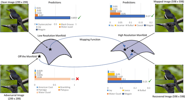 Figure 3 for Image Super-Resolution as a Defense Against Adversarial Attacks