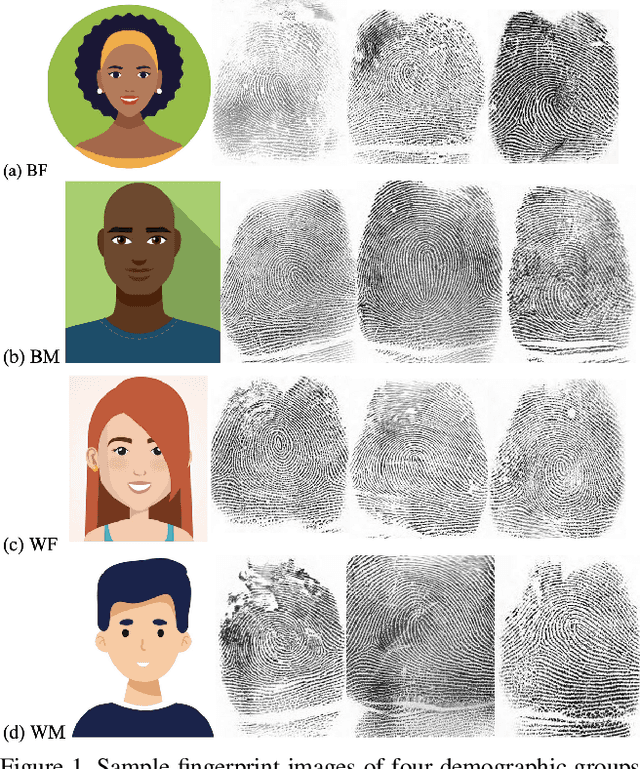 Figure 1 for On Demographic Bias in Fingerprint Recognition
