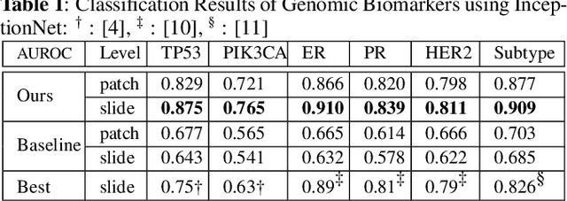 Figure 2 for Exploring Genetic-histologic Relationships in Breast Cancer