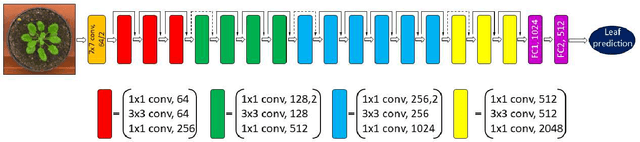 Figure 1 for Leveraging multiple datasets for deep leaf counting