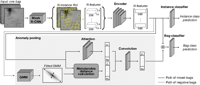 Figure 1 for Anomaly-aware multiple instance learning for rare anemia disorder classification