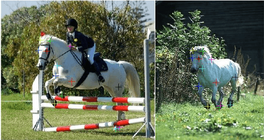 Figure 1 for Semantic Correspondence: A Hierarchical Approach