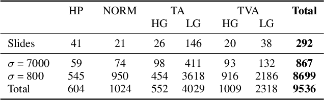 Figure 1 for UniToPatho, a labeled histopathological dataset for colorectal polyps classification and adenoma dysplasia grading