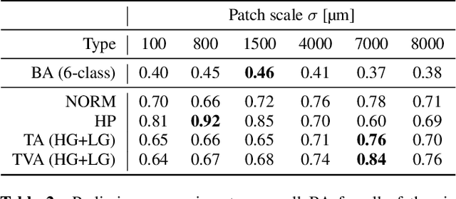 Figure 3 for UniToPatho, a labeled histopathological dataset for colorectal polyps classification and adenoma dysplasia grading