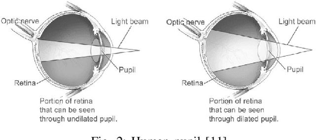 Figure 2 for MREAK : Morphological Retina Keypoint Descriptor