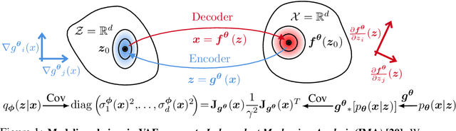Figure 1 for Embrace the Gap: VAEs Perform Independent Mechanism Analysis