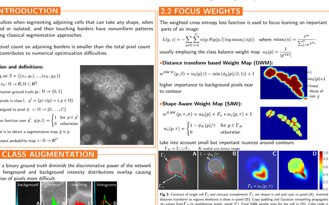 Figure 1 for Multiclass Weighted Loss for Instance Segmentation of Cluttered Cells