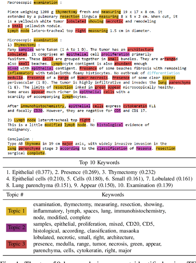 Figure 1 for Automatic Classification of Pathology Reports using TF-IDF Features