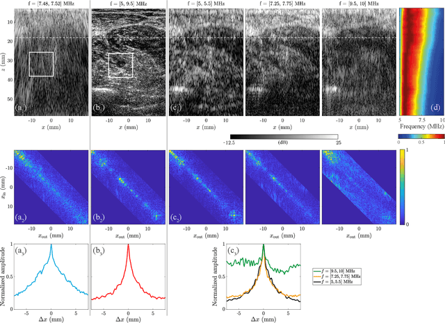 Figure 3 for Ultrasound Matrix Imaging. I. The focused reflection matrix and the F-factor