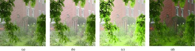Figure 3 for On the Duality Between Retinex and Image Dehazing