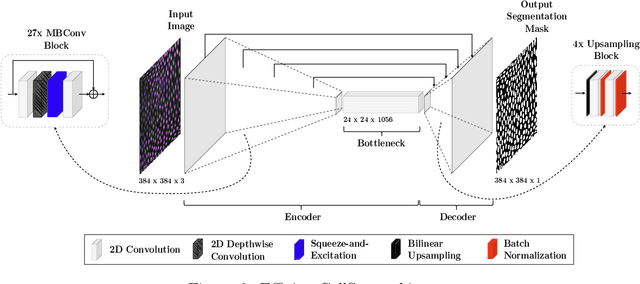 Figure 3 for EfficientCellSeg: Efficient Volumetric Cell Segmentation Using Context Aware Pseudocoloring