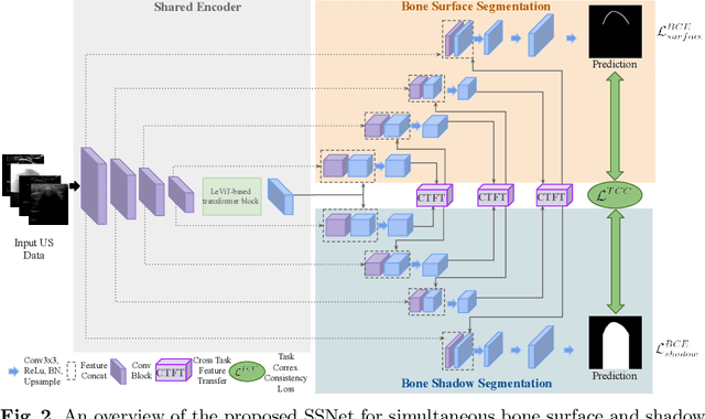 Figure 3 for Simultaneous Bone and Shadow Segmentation Network using Task Correspondence Consistency