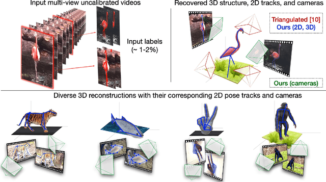 Figure 1 for MBW: Multi-view Bootstrapping in the Wild