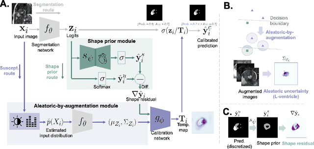 Figure 1 for Improved post-hoc probability calibration for out-of-domain MRI segmentation