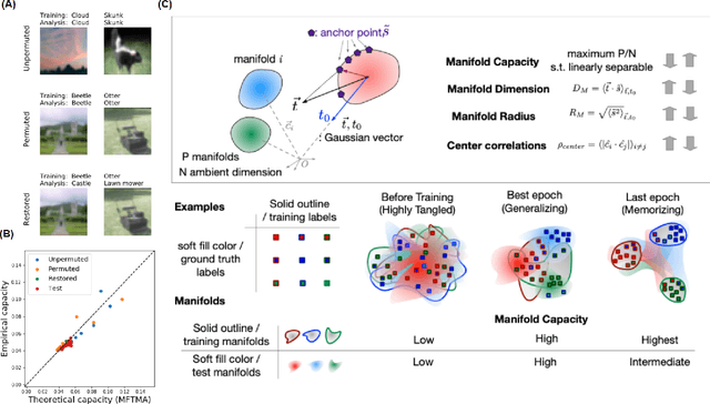 Figure 1 for On the geometry of generalization and memorization in deep neural networks