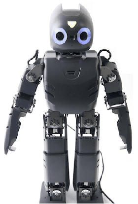 Figure 1 for The NUbots Team Description Paper 2015