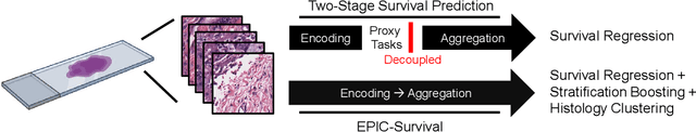 Figure 1 for EPIC-Survival: End-to-end Part Inferred Clustering for Survival Analysis, Featuring Prognostic Stratification Boosting