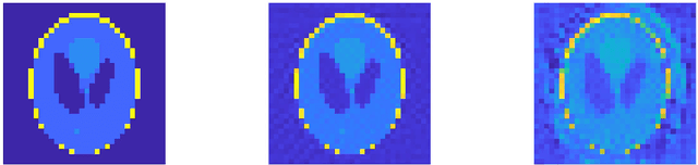 Figure 2 for Accelerated Alternating Minimization for X-ray Tomographic Reconstruction