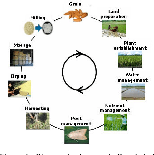 Figure 4 for Rice Leaf Disease Classification and Detection Using YOLOv5